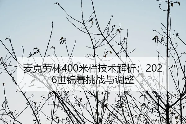 mai-ke-lao-lin-mi-lan-ji-shu-jie-xi-shi-jin-sai-tiao-zhan-yu-tiao-zheng-2-396.jpg